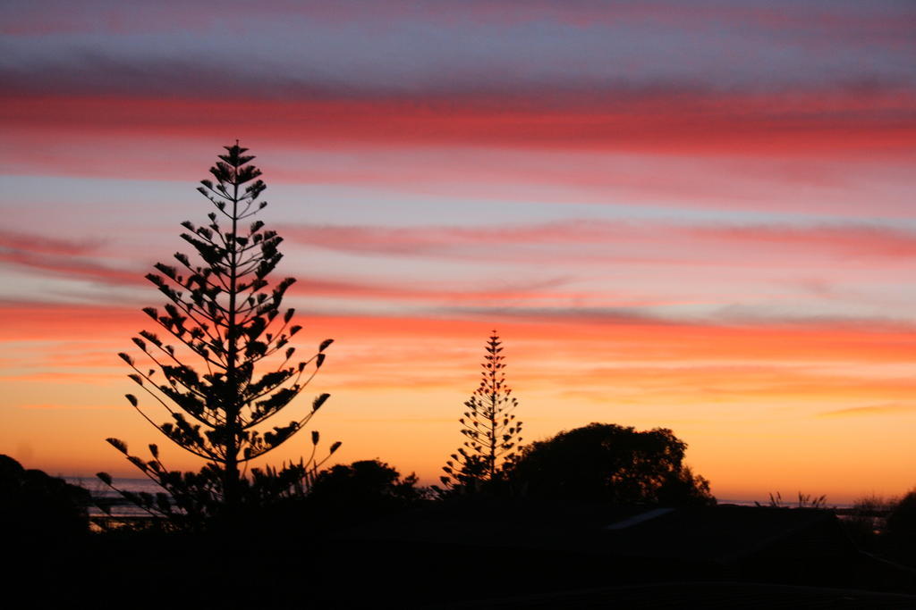 The Point B&B Kaikoura Bagian luar foto