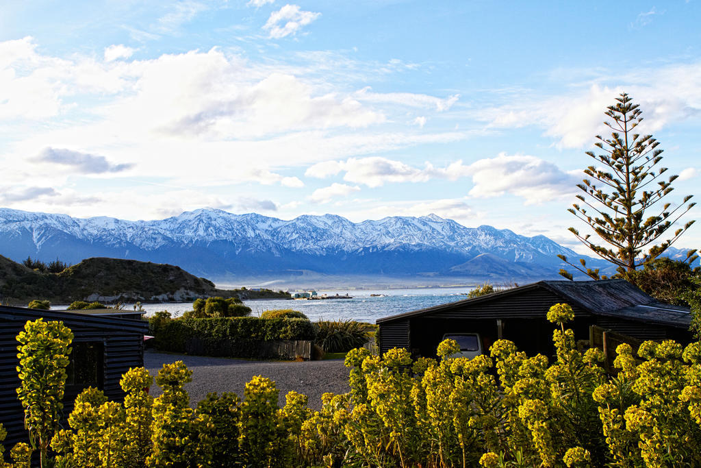 The Point B&B Kaikoura Bagian luar foto