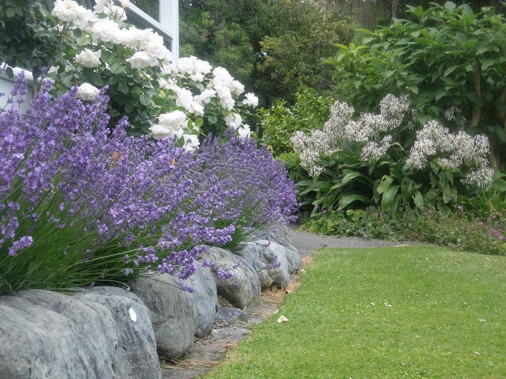 The Point B&B Kaikoura Bagian luar foto