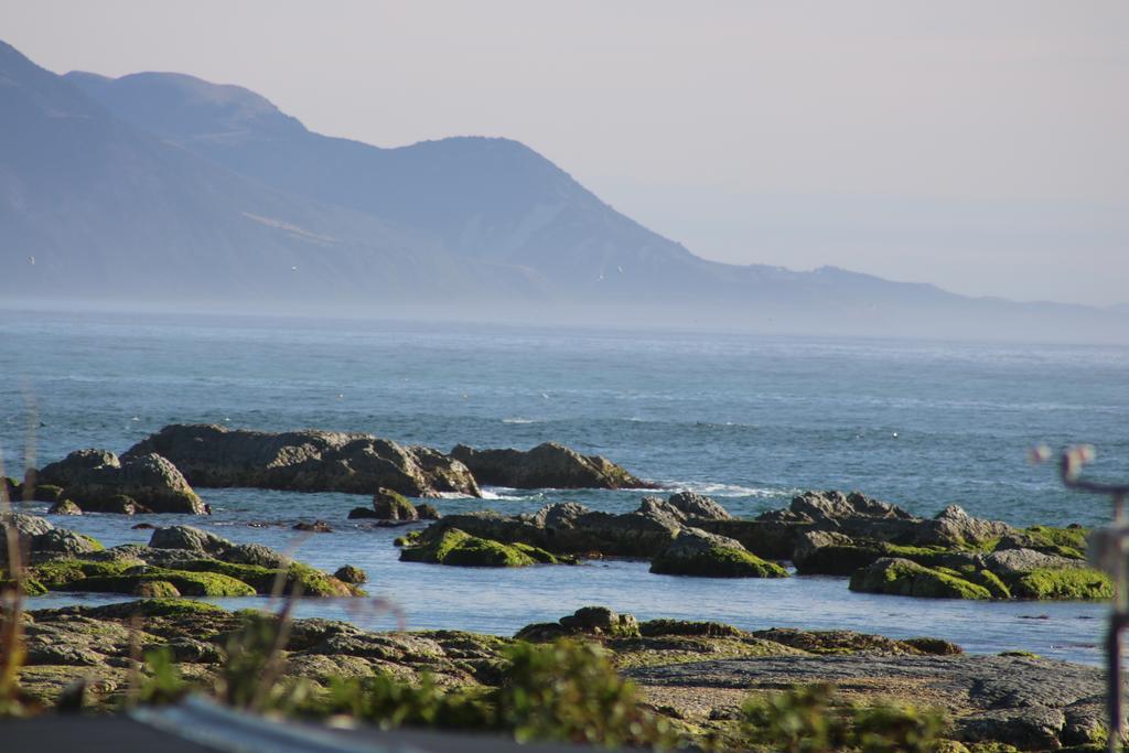 The Point B&B Kaikoura Bagian luar foto