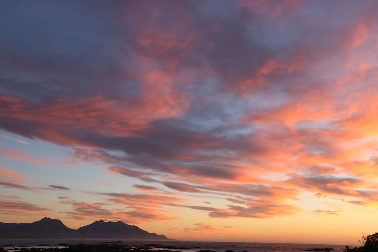 The Point B&B Kaikoura Bagian luar foto